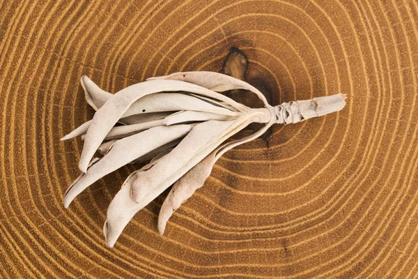 Сушеный белый шалфей на деревянном фоне — стоковое фото
