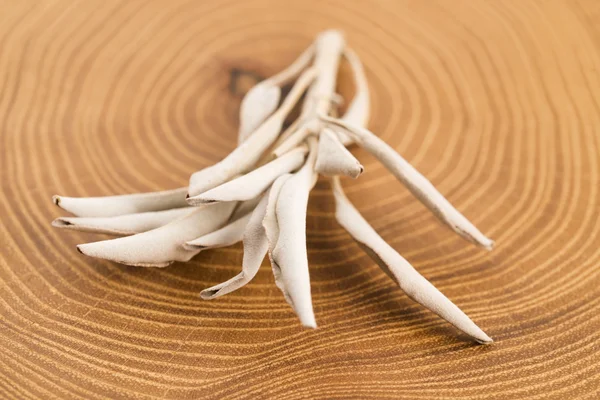 Salvia blanca seca sobre fondo de madera —  Fotos de Stock
