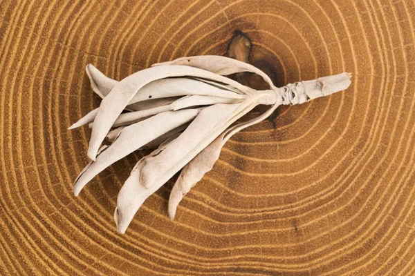 Dried white sage on wooden background — Stock Photo, Image