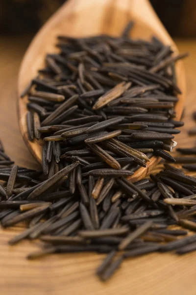 Riz sauvage sur cuillère en bois — Photo