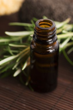 Biberiye esansiyel yağı taze otlar ile