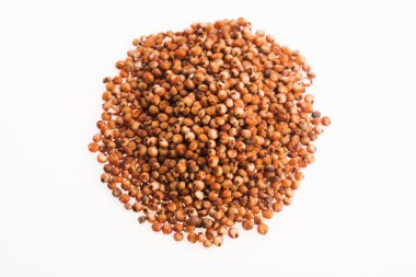 Sorgum, beyaz pirinç