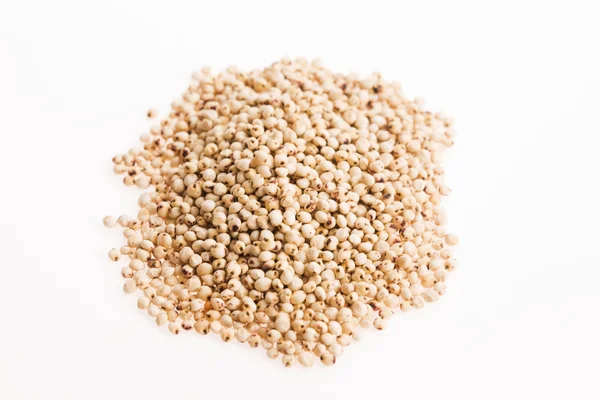 Sorgum, beyaz pirinç