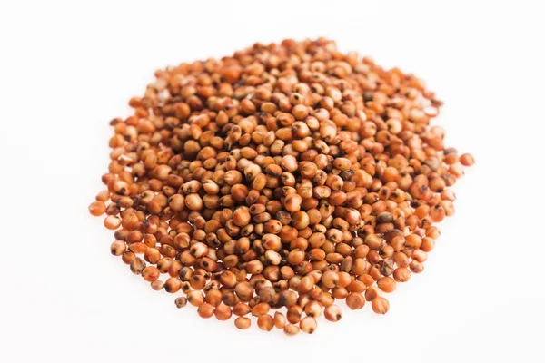 Sorghum, Reis auf Weiß — Stockfoto