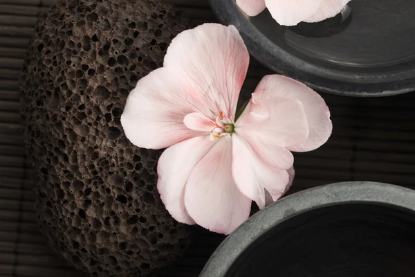 Spa ainda vida, com flores cor de rosa, pedras e água — Fotografia de Stock