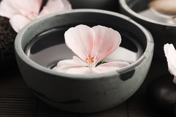 Spa still life, with pink flowers, stones and water — Stock Photo, Image