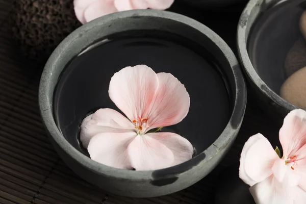 Spa still life, with pink flowers, stones and water — Stock Photo, Image