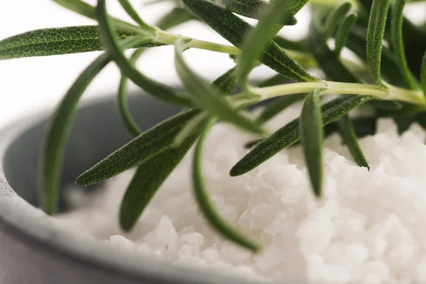 Sea salt with rosemary — Stock Photo, Image