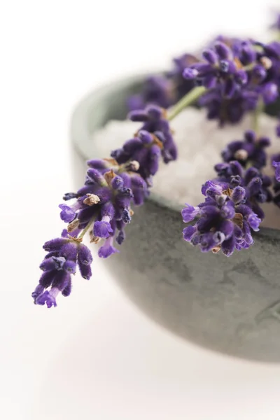 Lavendel spa onderdelen — Stockfoto