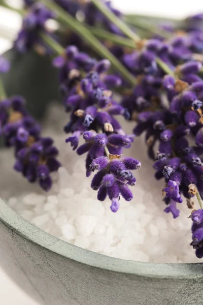 Itens de spa lavanda — Fotografia de Stock