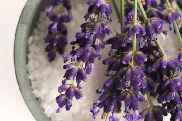 Itens de spa lavanda — Fotografia de Stock