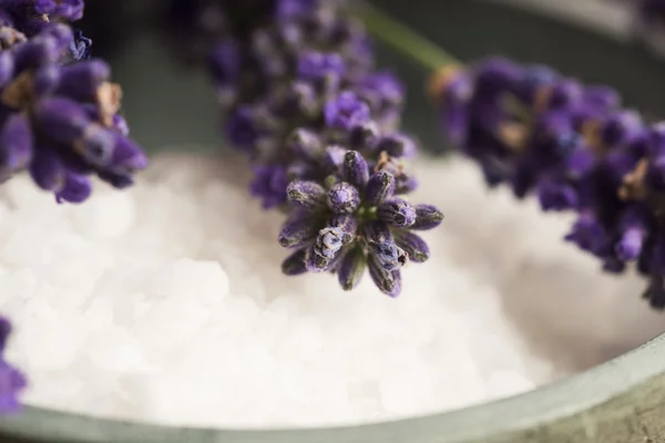 Itens de spa lavanda — Fotografia de Stock