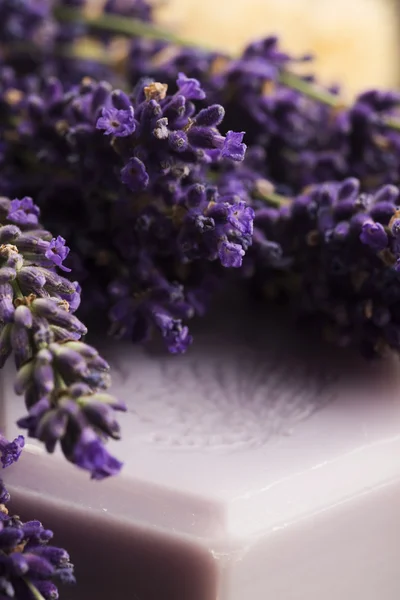 Lavendel spa onderdelen — Stockfoto
