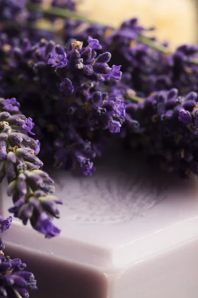 Itens de spa lavanda — Fotografia de Stock