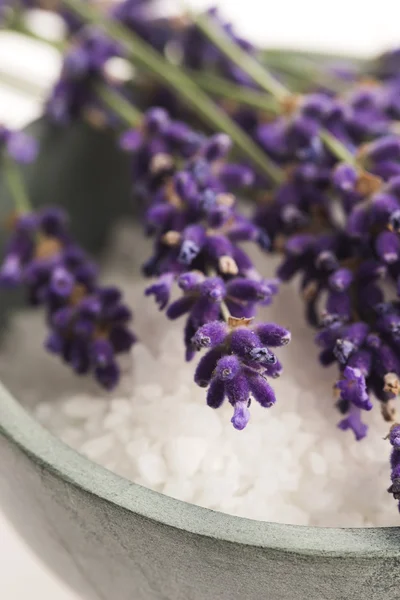 Wellnessartikel aus Lavendel — Stockfoto