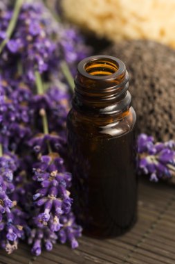 Lavanta spa öğeleri