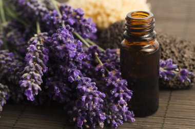 Lavanta spa öğeleri