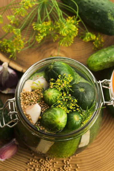 Closeup of fresh pickling cucumbers — Stock Photo, Image