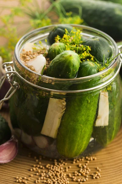 Nahaufnahme von frisch eingelegte Gurken — Stockfoto