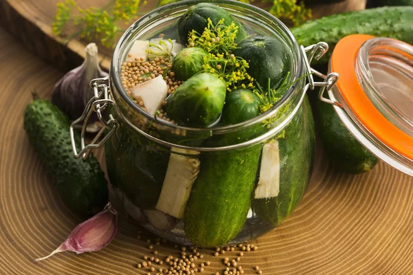 Nahaufnahme von frisch eingelegte Gurken — Stockfoto