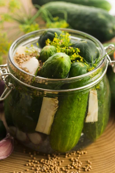 Closeup of fresh pickling cucumbers — Stock Photo, Image