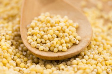 darı tesviyeci-montaj aleti 