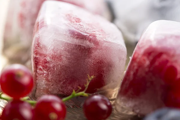 Frutos silvestres frescos congelados em cubos de gelo — Fotografia de Stock