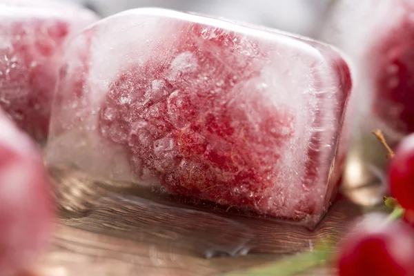 Fresh berry fruits frozen in ice cubes — Stock Photo, Image