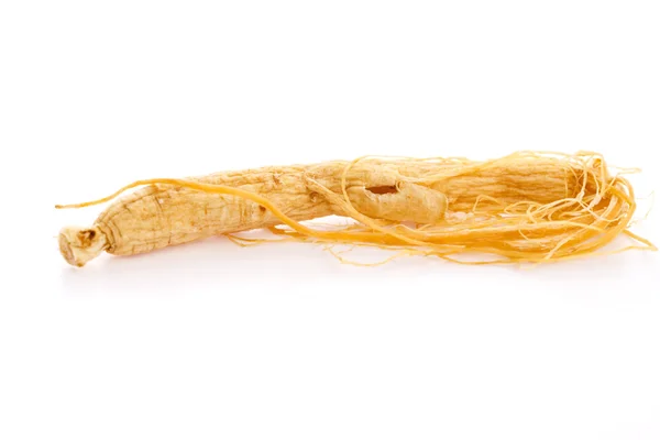 Ginseng kökü