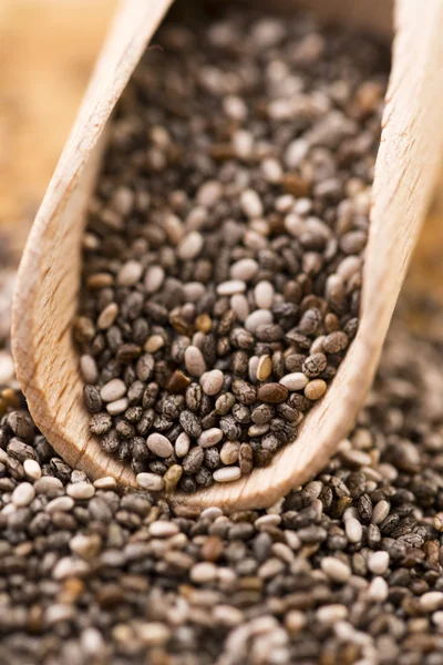 Tahta kaşık üzerinde Besleyici chia tohumu — Stok fotoğraf