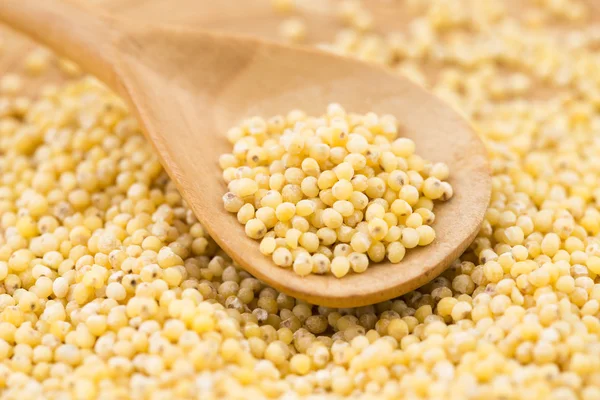 Millet groats — Stock Photo, Image