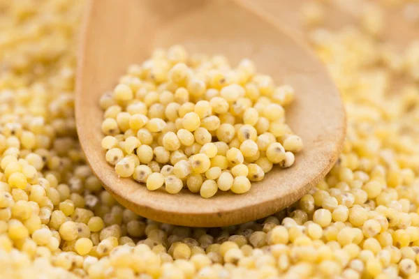 Millet groats — Stock Photo, Image