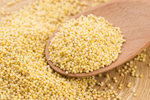 Millet groats — Stock Photo, Image