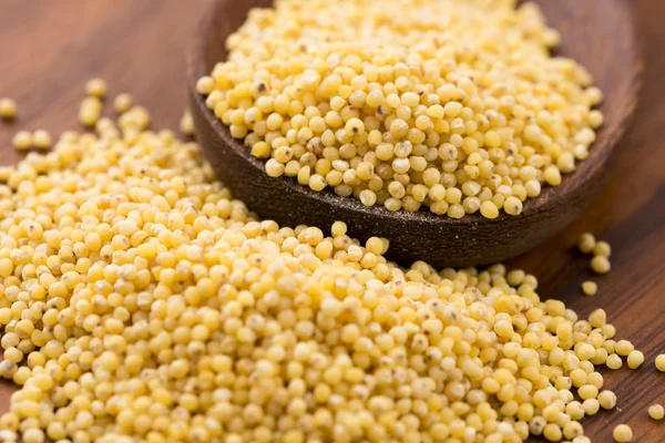 Millet groats — Stock Photo, Image