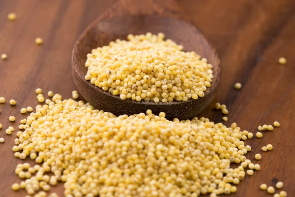 Millet groats — Stock Photo, Image