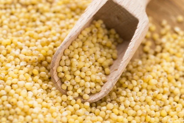 Millet groats — Stock Photo, Image