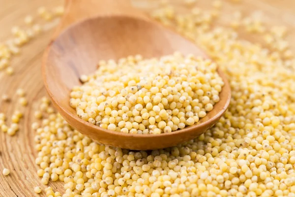 Millet groats — Stock Photo, Image