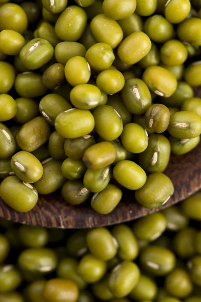 Mung fazole nad vařečka — Stock fotografie