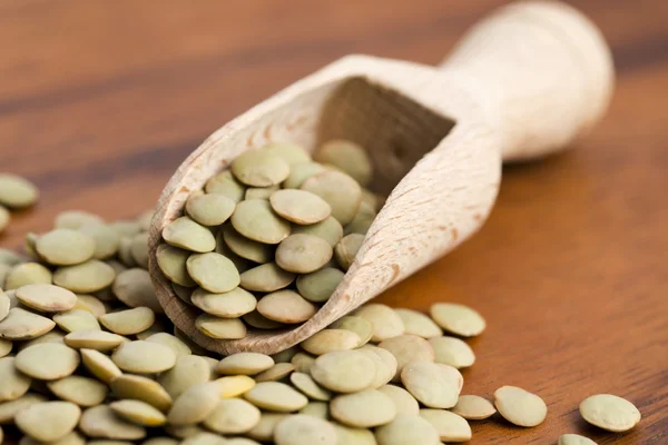 Dry Organic Green Lentils — Stock Photo, Image