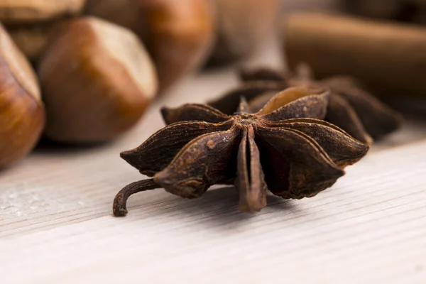 Different kinds of spices, nuts and dried oranges - christmas de — Stock Photo, Image