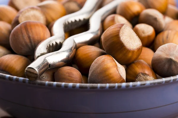 Hazelnuts — Stock Photo, Image