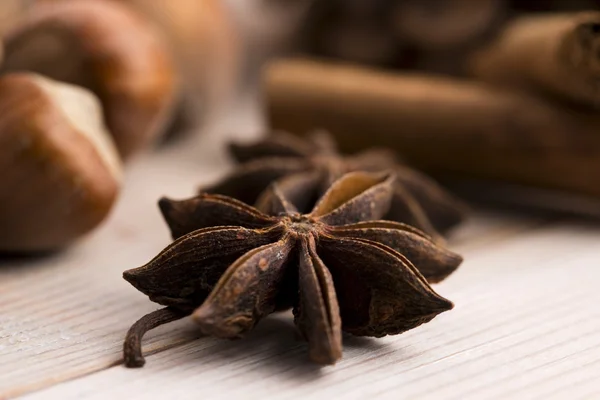 Different kinds of spices, nuts and dried oranges - christmas de — Stock Photo, Image