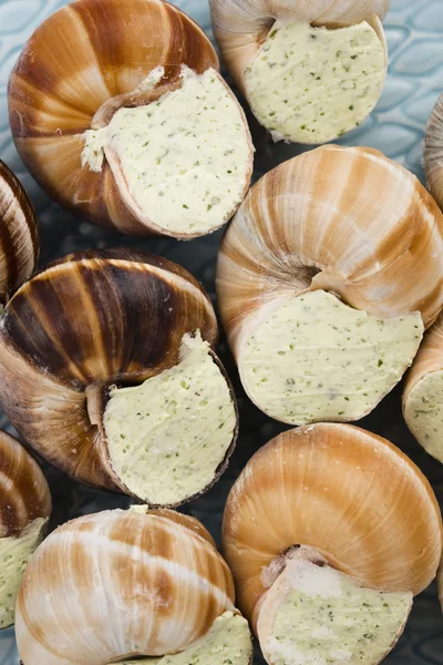 Primer plano de Escargots con mantequilla de ajo — Foto de Stock