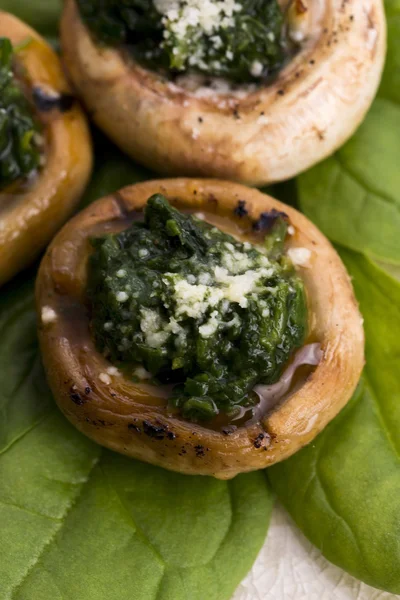 Pilze gefüllt mit Spinat — Stockfoto