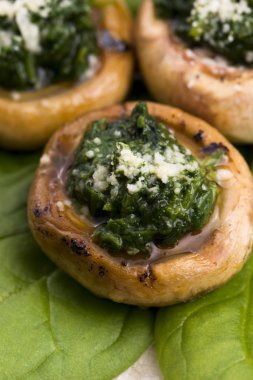 ıspanak ile doldurulmuş mantar