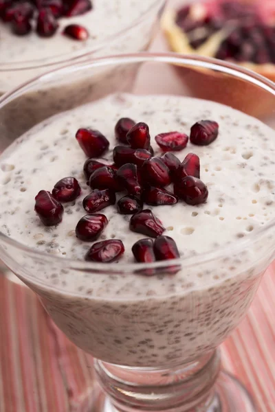 Chia seed pudding — Stock Photo, Image