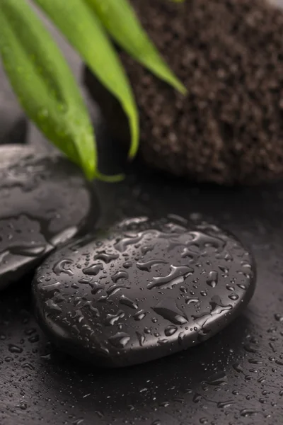 Zöld levél a spa kő nedves fekete felületen — Stock Fotó