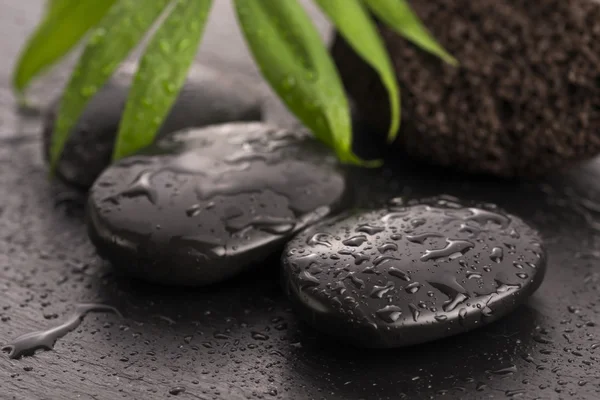 Hoja verde sobre piedra balneario sobre superficie húmeda negra —  Fotos de Stock