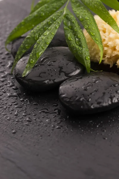 Hoja verde sobre piedra balneario sobre superficie húmeda negra — Foto de Stock