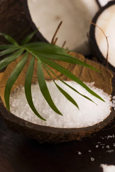 Bagno di cocco. cocco con sale marino — Foto Stock